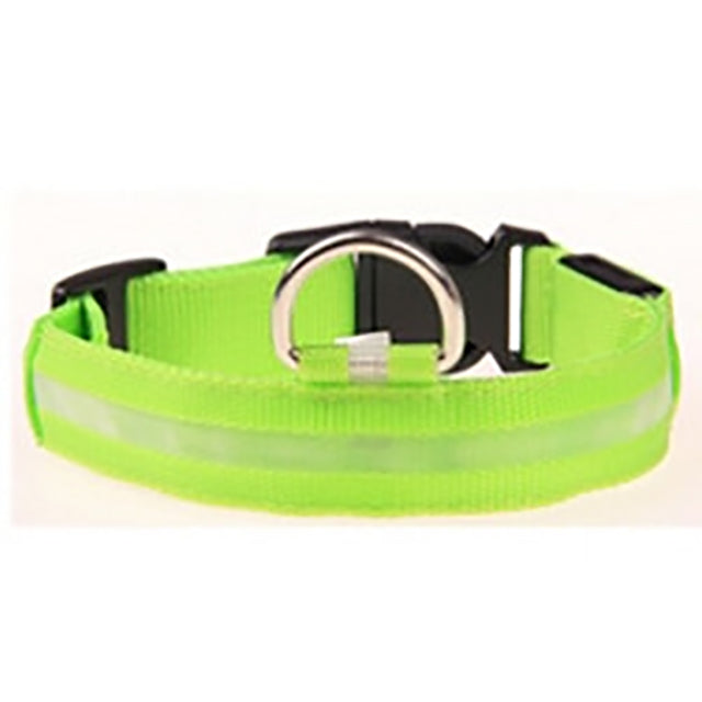 LED Night Safety Per Collar