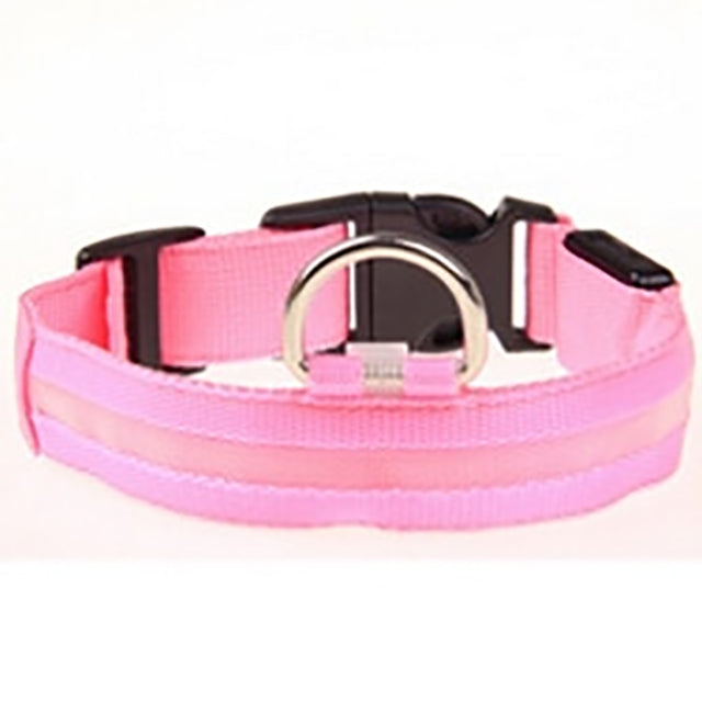 LED Night Safety Per Collar