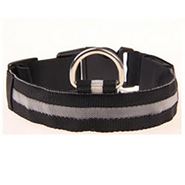 LED Night Safety Per Collar