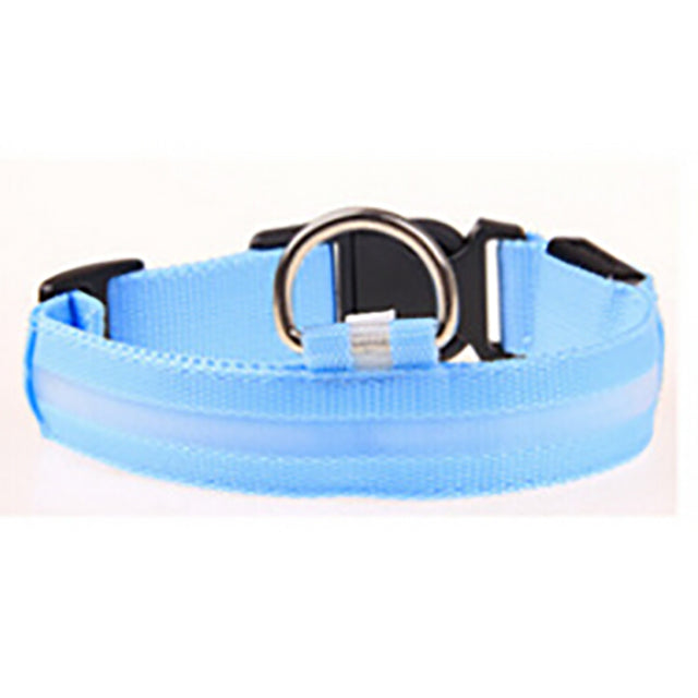 LED Night Safety Per Collar