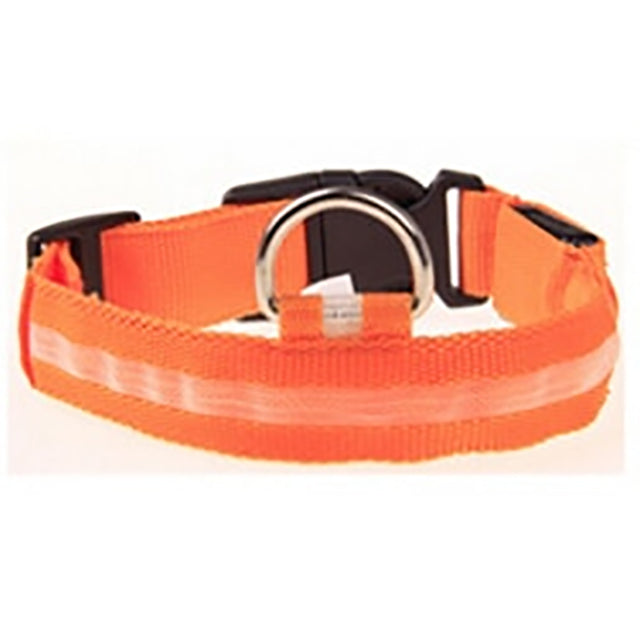 LED Night Safety Per Collar