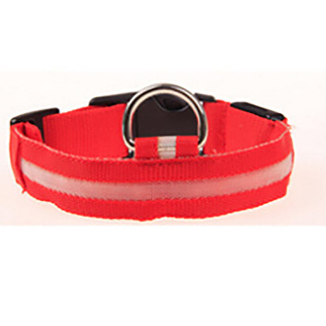 LED Night Safety Per Collar