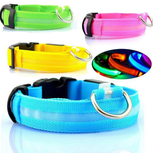 LED Night Safety Per Collar